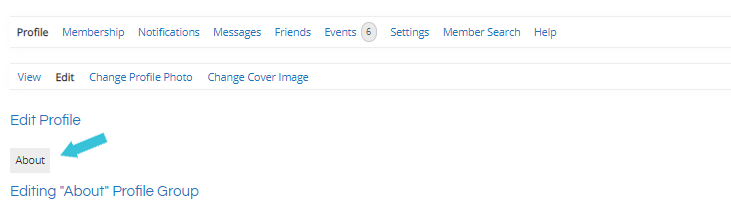 nanny online calendar